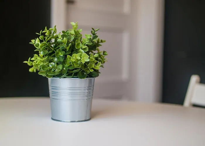 Apartment Alliance *